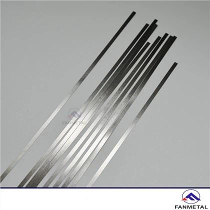 Ren Tungsten Strip