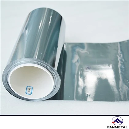 0.05 mm Molybdenfolier